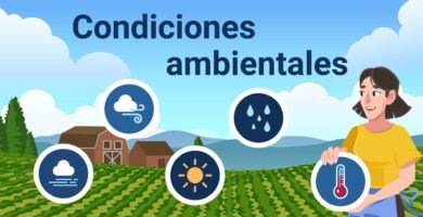 Uso de estabilizadores en diferentes condiciones climáticas